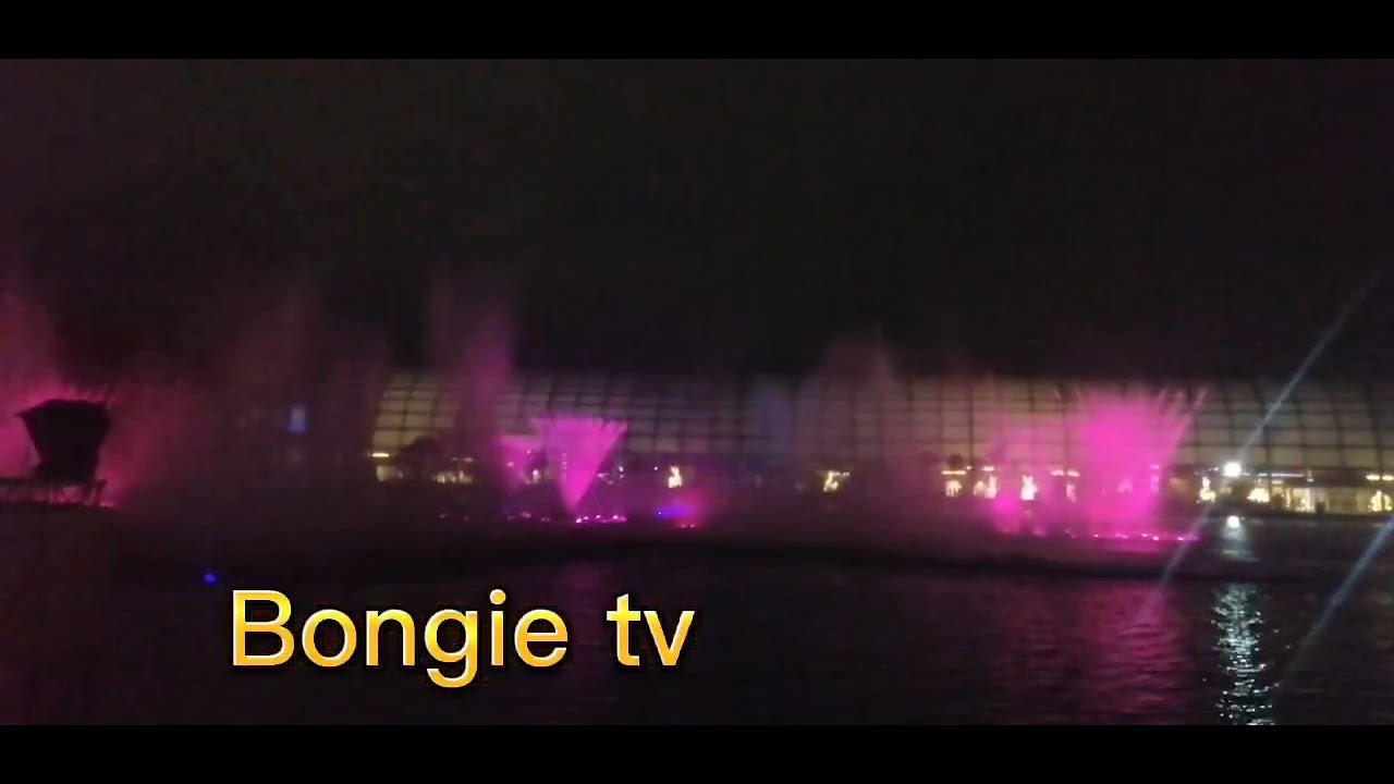 The Stage of Lights: Entertainment and Live Shows in Manila’s Casinos (마닐라 카지노)