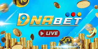 New Players’ Guide to Yoktogel: Everything You Need to Know