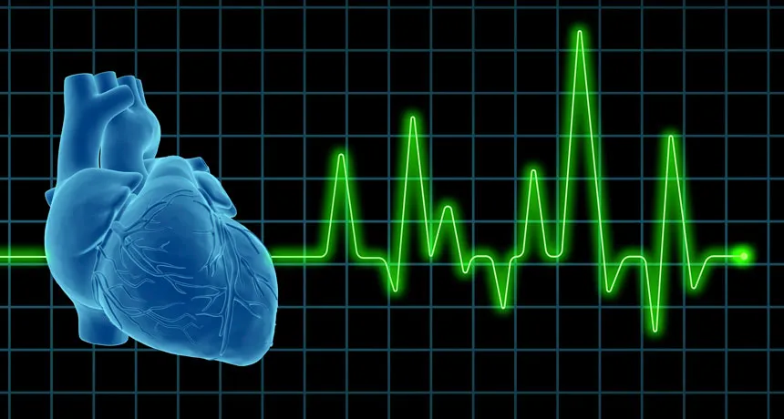 Actions, Light, and the Depth of the Human Heart